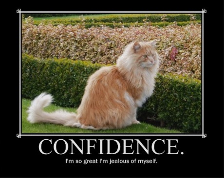 What Is Confidence?